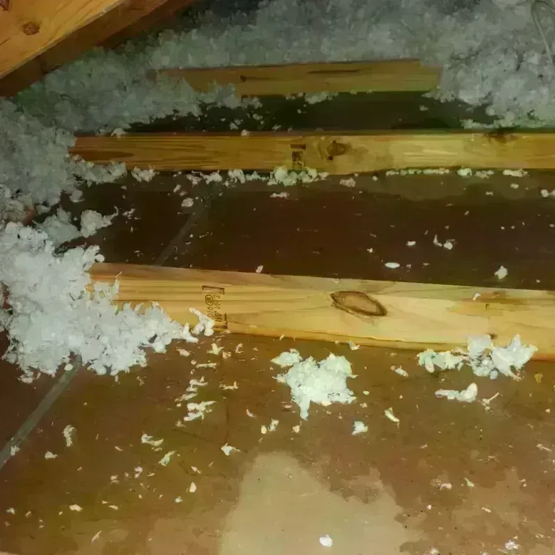 Attic Water Damage in Yadkin County, NC